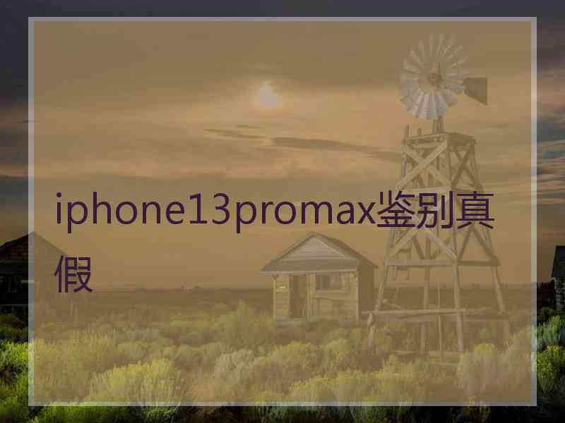 iphone13promax鉴别真假