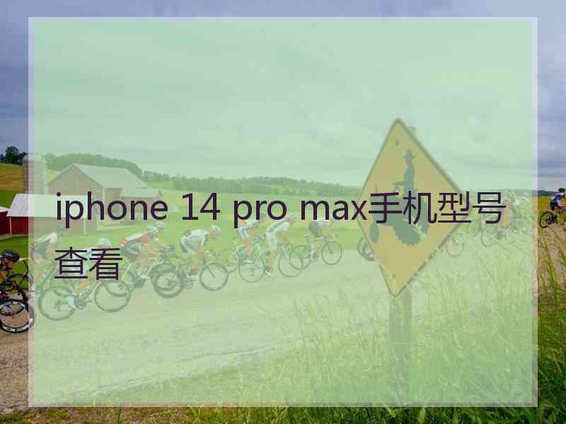 iphone 14 pro max手机型号查看