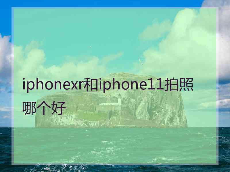 iphonexr和iphone11拍照哪个好