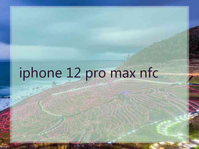 iphone 12 pro max nfc