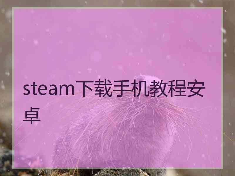 steam下载手机教程安卓