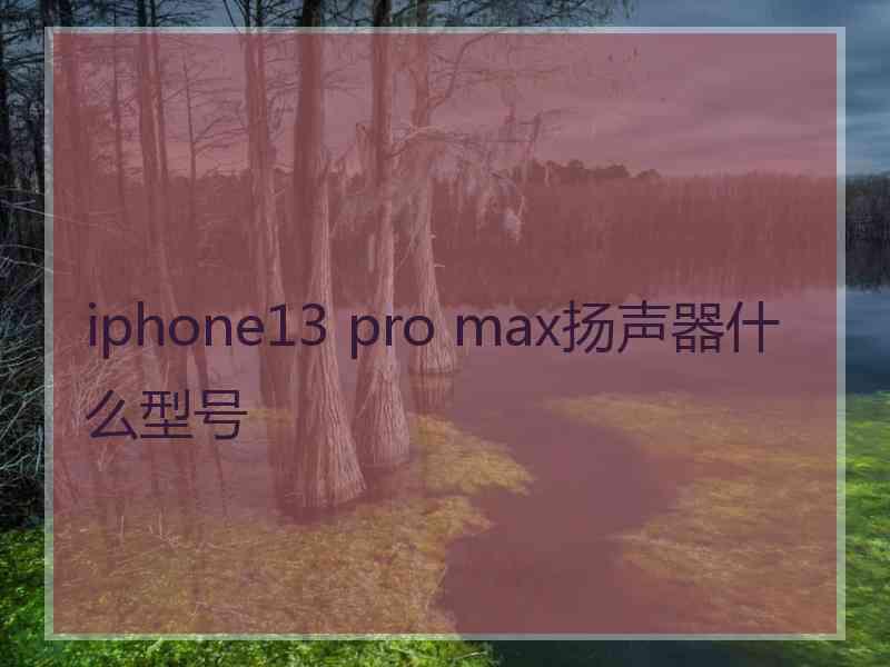 iphone13 pro max扬声器什么型号