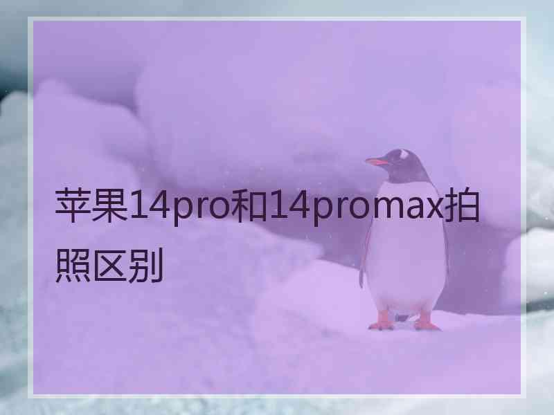 苹果14pro和14promax拍照区别