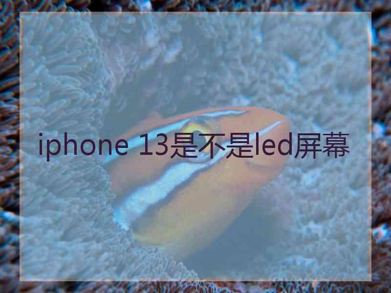 iphone 13是不是led屏幕