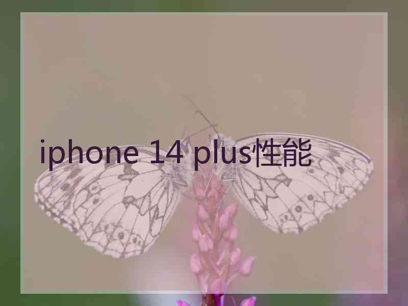 iphone 14 plus性能