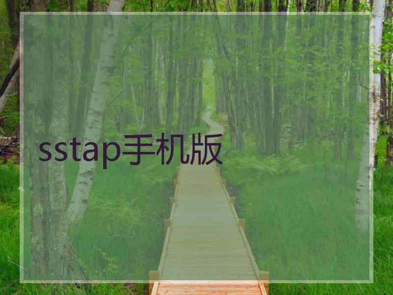 sstap手机版