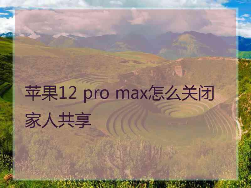 苹果12 pro max怎么关闭家人共享