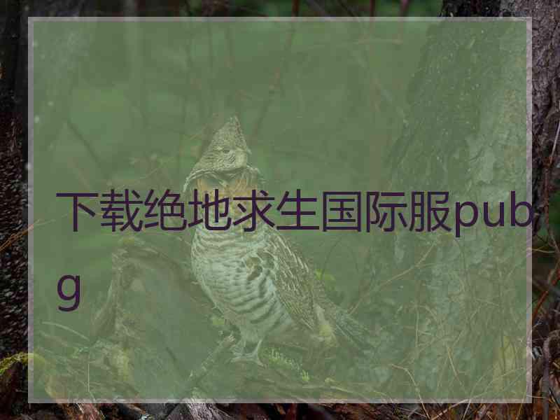 下载绝地求生国际服pubg