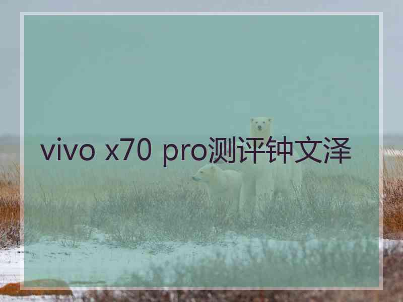 vivo x70 pro测评钟文泽