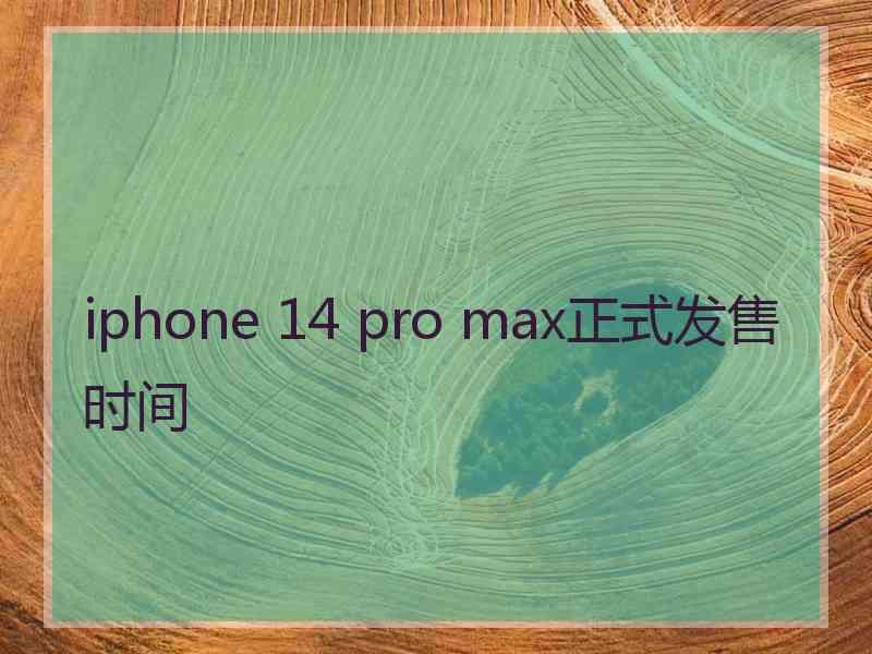 iphone 14 pro max正式发售时间