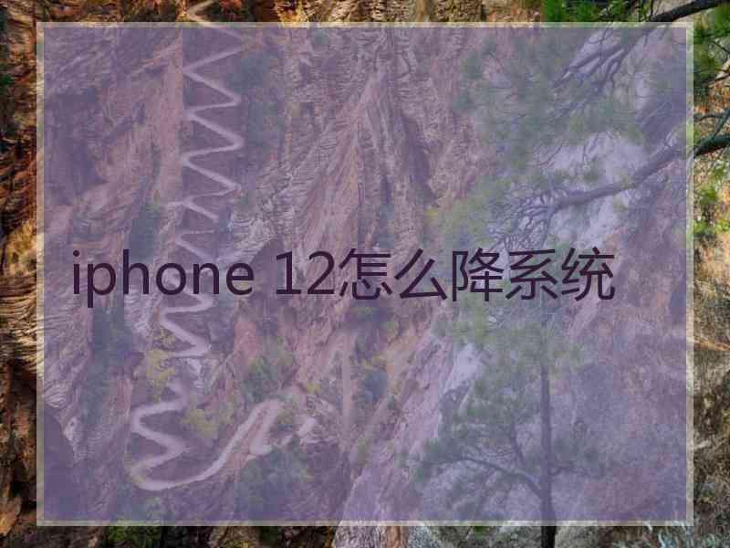 iphone 12怎么降系统