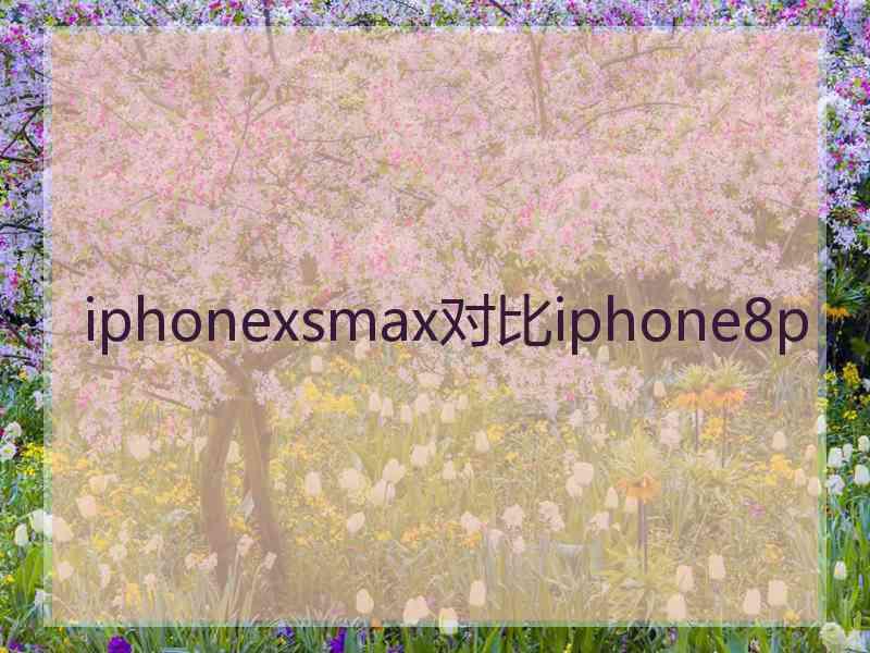 iphonexsmax对比iphone8p