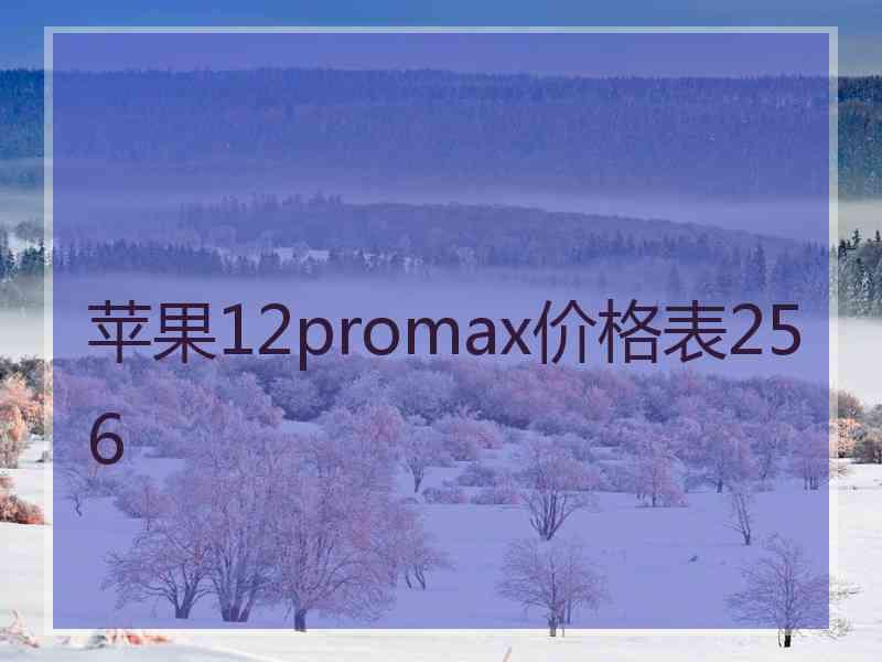 苹果12promax价格表256