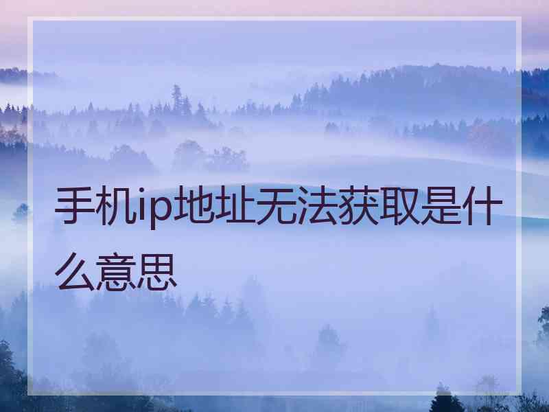 手机ip地址无法获取是什么意思