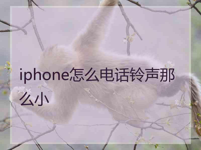 iphone怎么电话铃声那么小