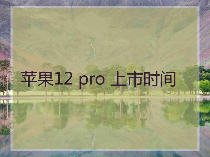 苹果12 pro 上市时间