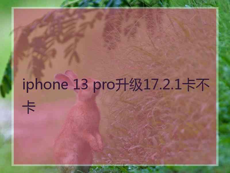 iphone 13 pro升级17.2.1卡不卡