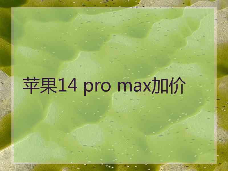 苹果14 pro max加价