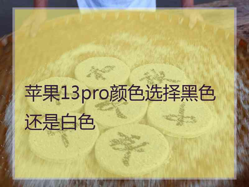 苹果13pro颜色选择黑色还是白色