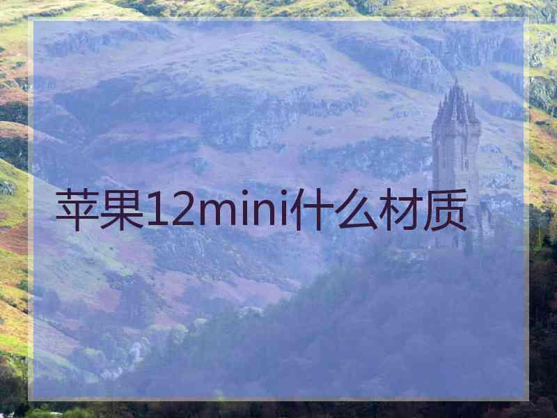 苹果12mini什么材质