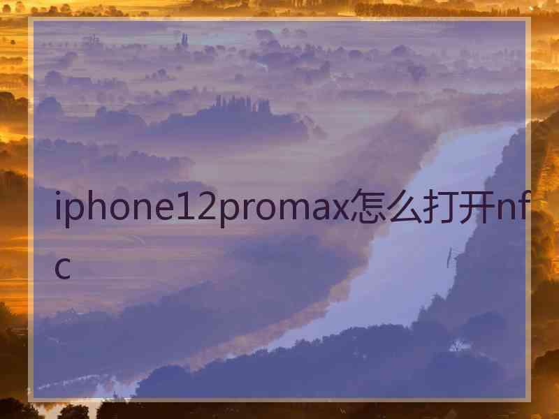 iphone12promax怎么打开nfc