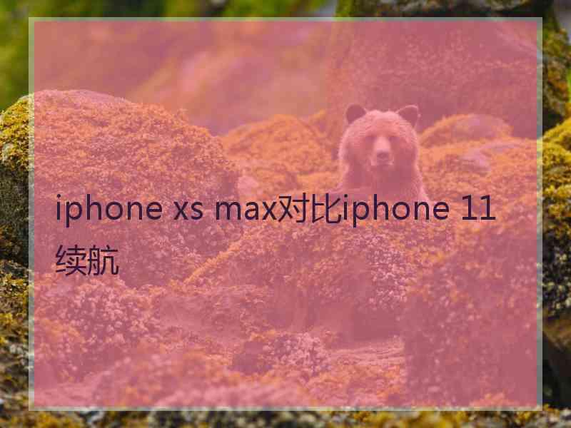 iphone xs max对比iphone 11续航