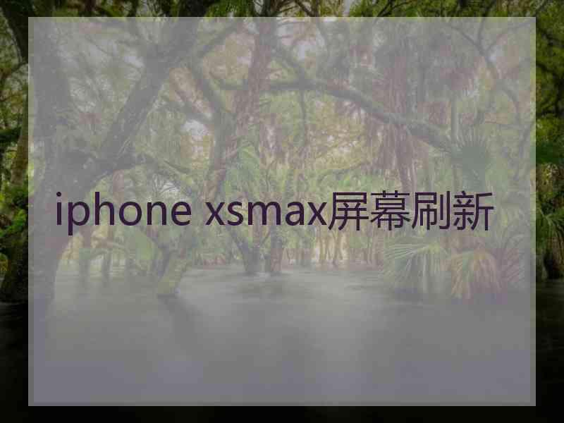 iphone xsmax屏幕刷新