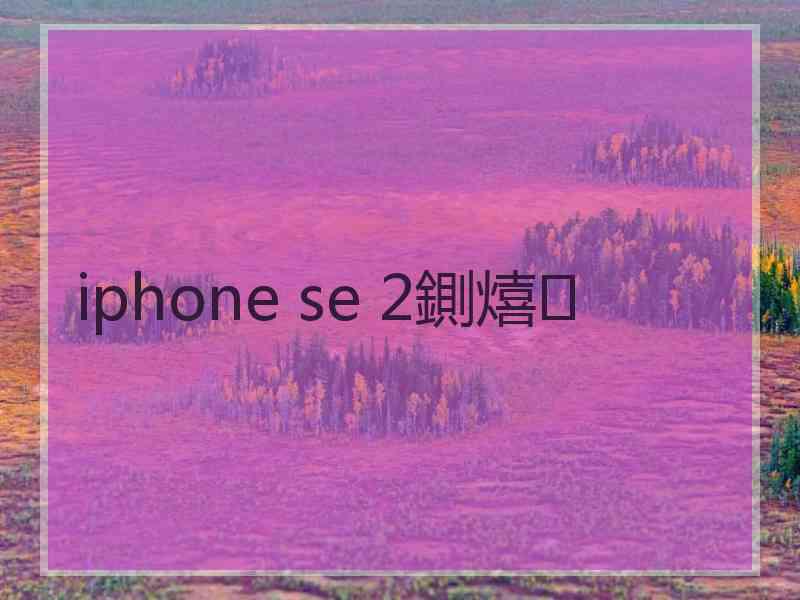 iphone se 2鍘熺