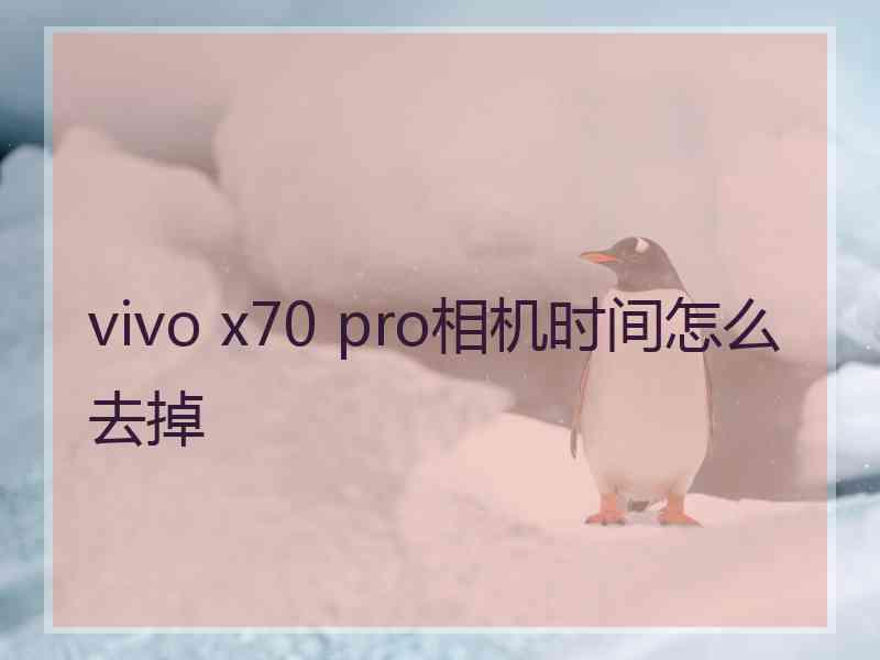 vivo x70 pro相机时间怎么去掉