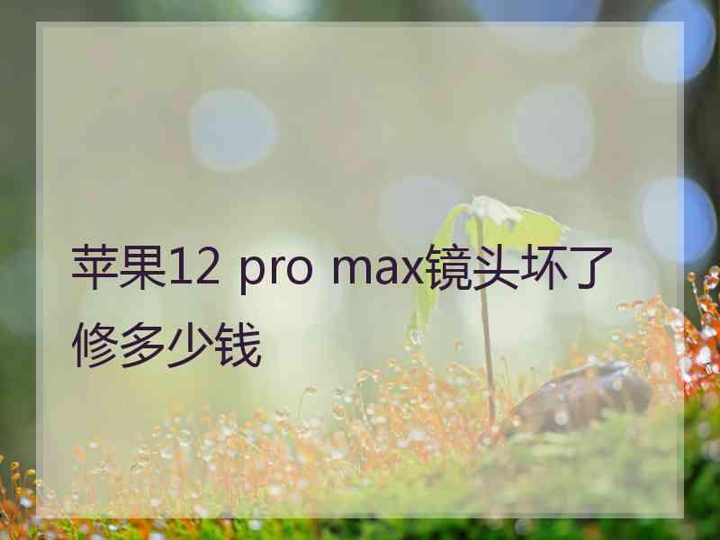 苹果12 pro max镜头坏了修多少钱