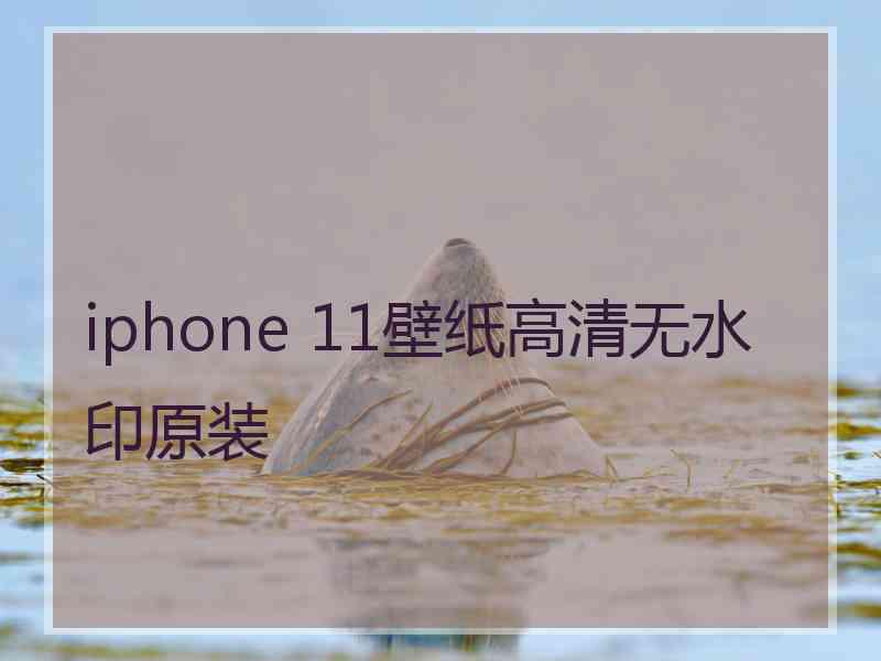 iphone 11壁纸高清无水印原装