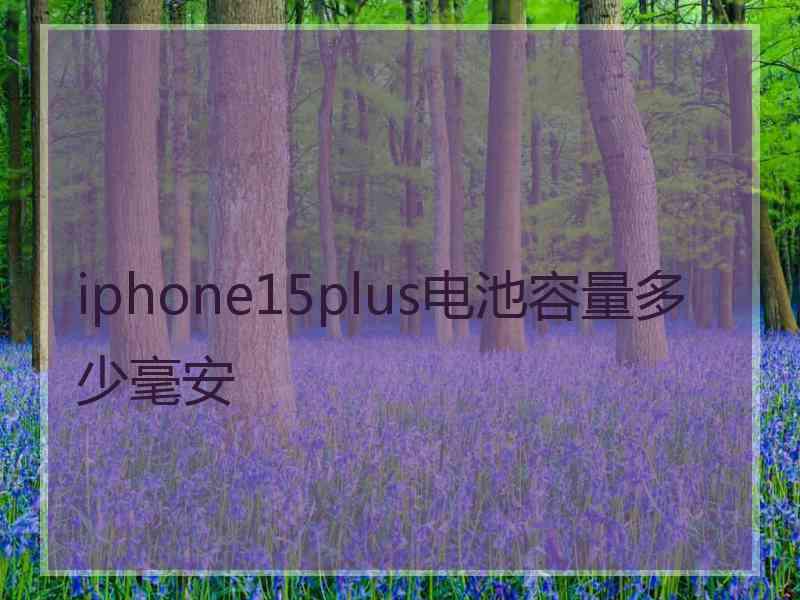 iphone15plus电池容量多少毫安