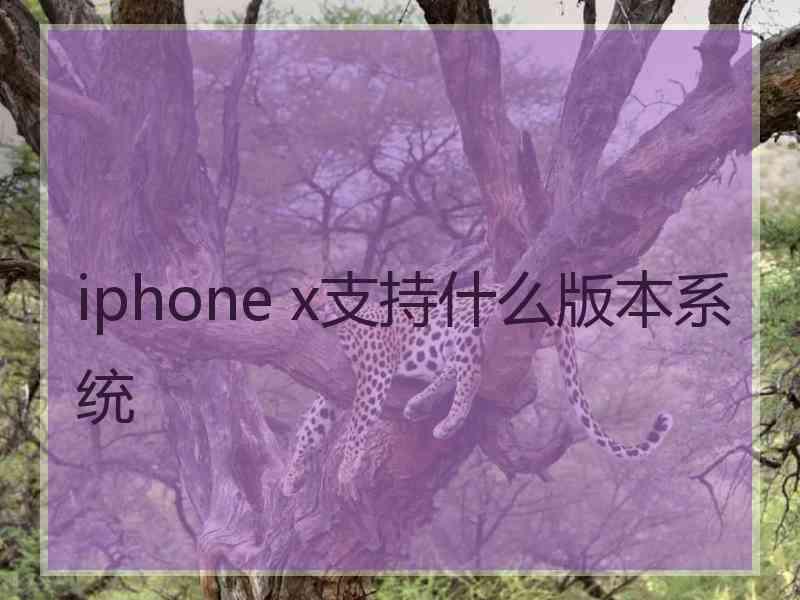 iphone x支持什么版本系统