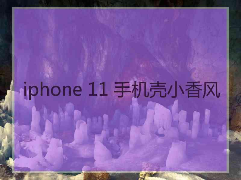 iphone 11 手机壳小香风