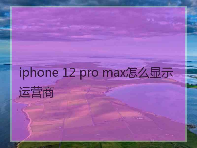 iphone 12 pro max怎么显示运营商