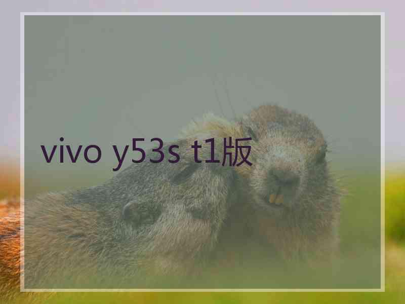 vivo y53s t1版