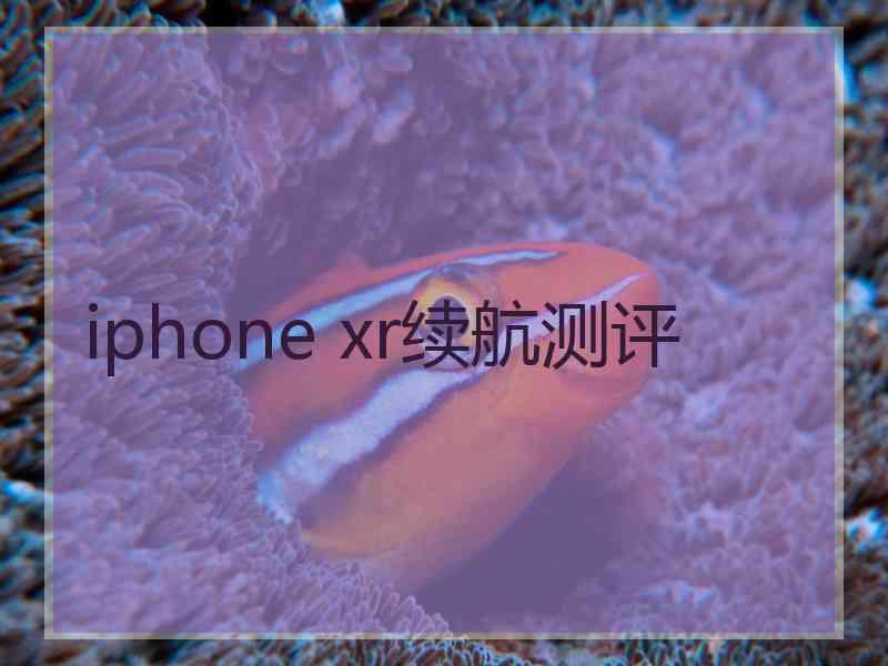 iphone xr续航测评