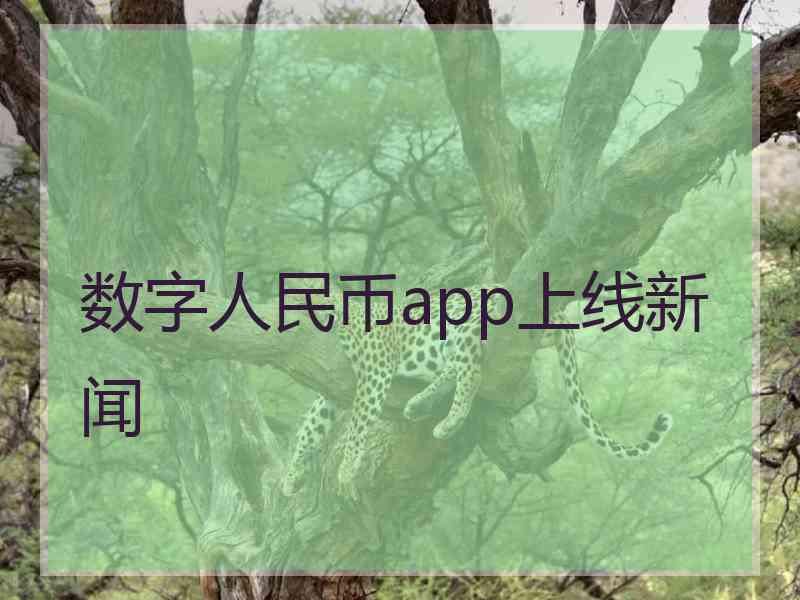 数字人民币app上线新闻