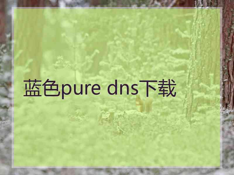 蓝色pure dns下载