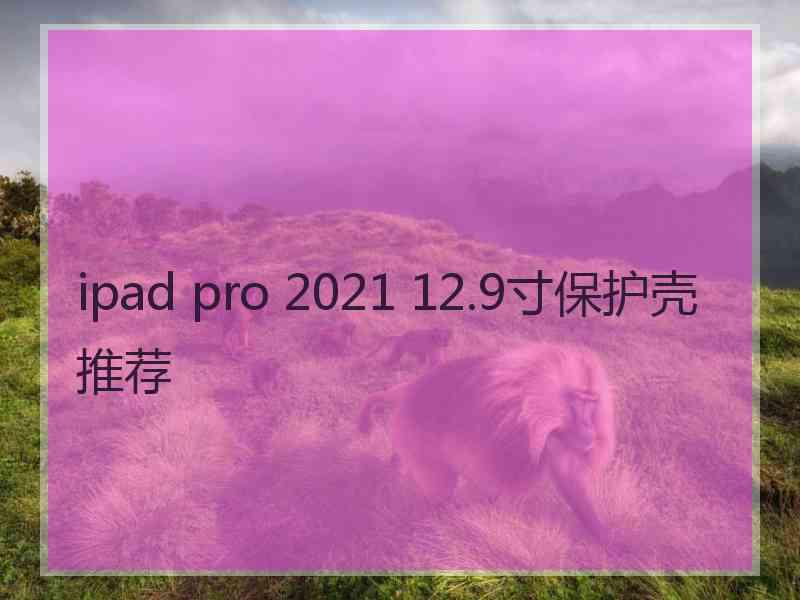 ipad pro 2021 12.9寸保护壳推荐