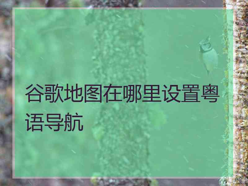 谷歌地图在哪里设置粤语导航