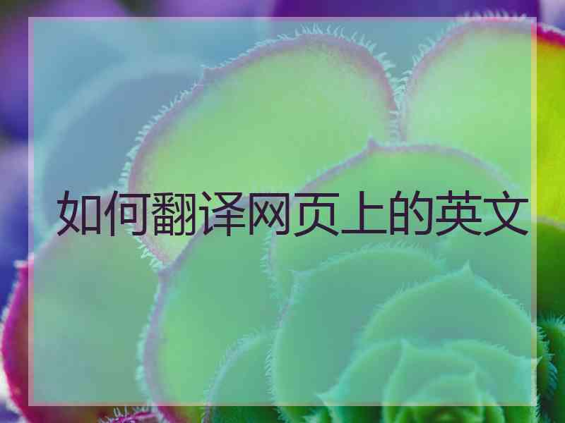 如何翻译网页上的英文