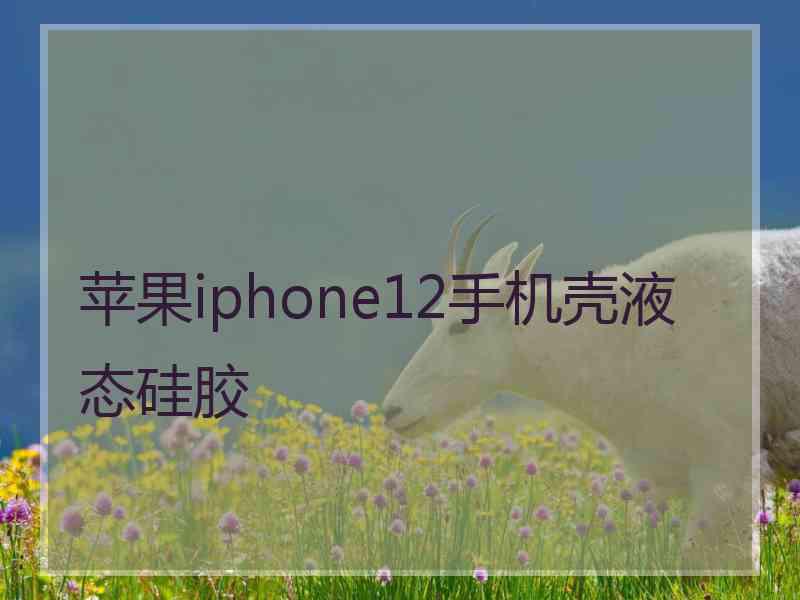 苹果iphone12手机壳液态硅胶