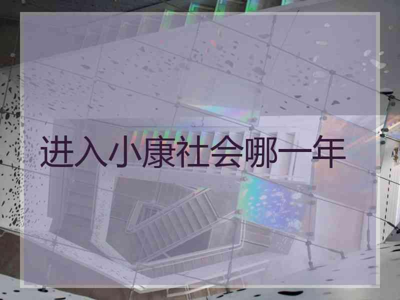 进入小康社会哪一年