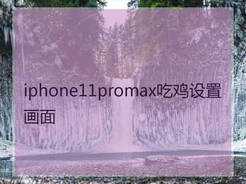 iphone11promax吃鸡设置画面