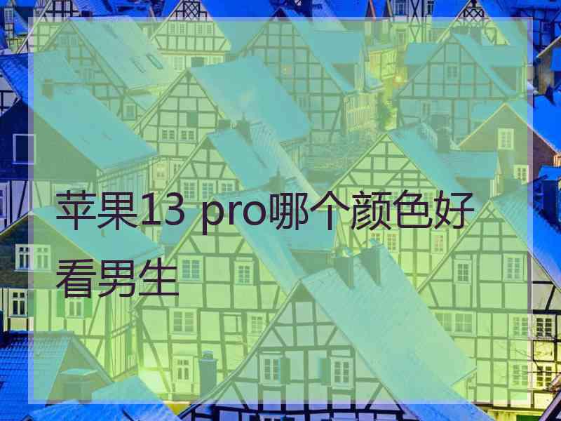 苹果13 pro哪个颜色好看男生