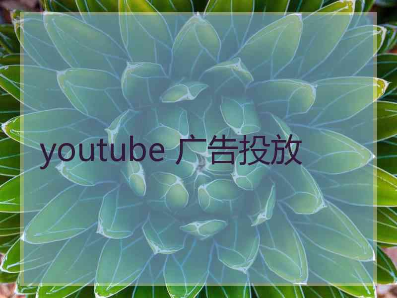 youtube 广告投放