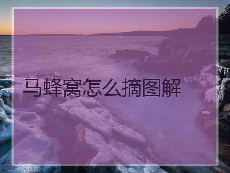 马蜂窝怎么摘图解