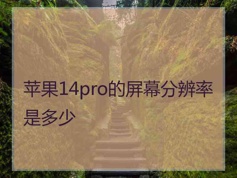 苹果14pro的屏幕分辨率是多少