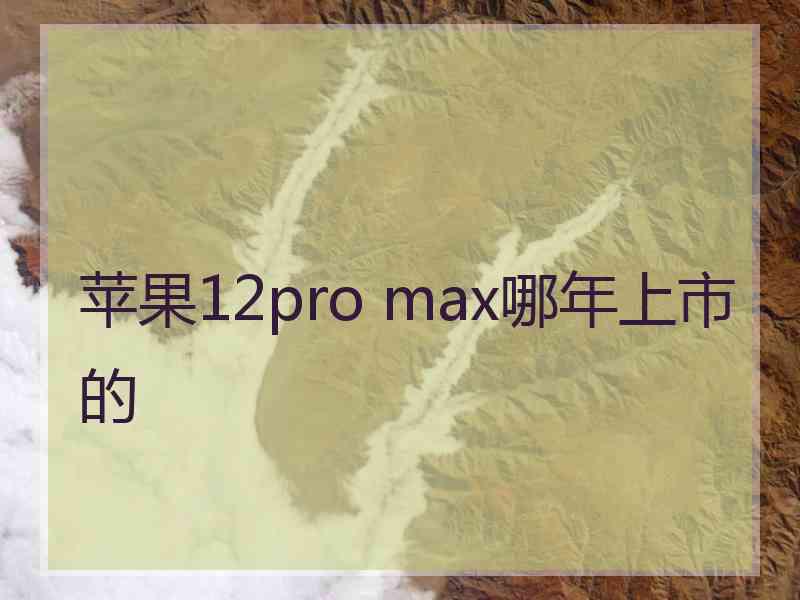 苹果12pro max哪年上市的